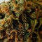CBD Kong's Kush Seeds