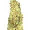 Cold Thunder (Sumo Seeds)