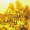 Arjan's Haze #1 strain