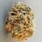 Blue Cheese strain
