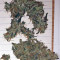 Blue Mystic weed strain