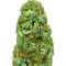 Amnesia Ganja Haze regular seeds