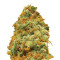 Indian Kush (VIP seeds)