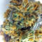 Sour Blueberry (Humboldt Seeds Organization)