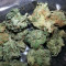 Graines de cannabis Grand Master Kush regular (Sumo Seeds)