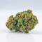 Graines de cannabis La Blanca Gold (Vision Seeds)