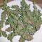 Semi femminizzati Purple Trainwreck