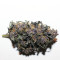 Graines féminisées de LSD-25 Auto (Fast Buds)