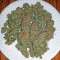 Strawberry Cake Seeds
