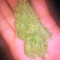 Colombian Gold feminizada (World of Seeds)