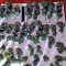 Kickass Auto feminized seeds