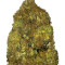 Skunky Monkey Auto strain