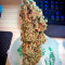 Critical + Seeds
