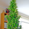 Wipeout Express Auto (Heavyweight Seeds)