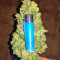 Graines de cannabis Lemon OG Haze Auto (Nirvana Seeds)