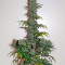 Graines de cannabis OG Kush Autoflowering (Dinafem Seeds)