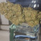 Delhi Friend (Dr. Krippling Seeds)