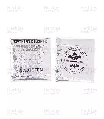 Northern Delights Auto Seeds