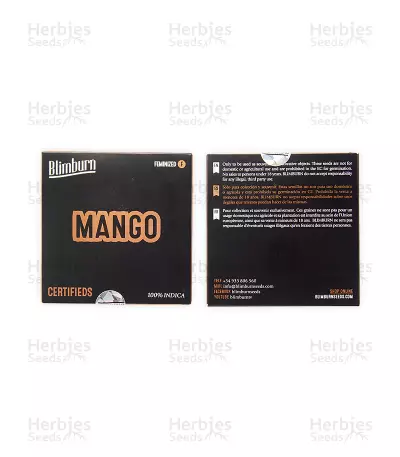Mango feminized seeds (Blimburn Seeds)
