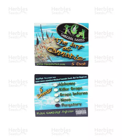 Purgatory Regular strain seeds