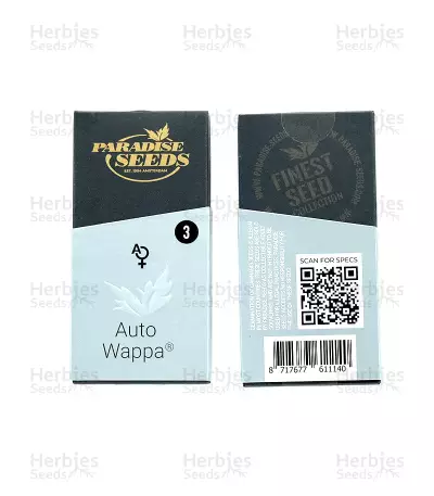 Auto Wappa Seeds