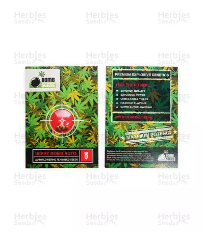 buy berry bomb auto bomb seeds