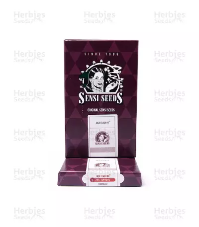 Graines de cannabis Jack Flash #5 (Sensi Seeds)