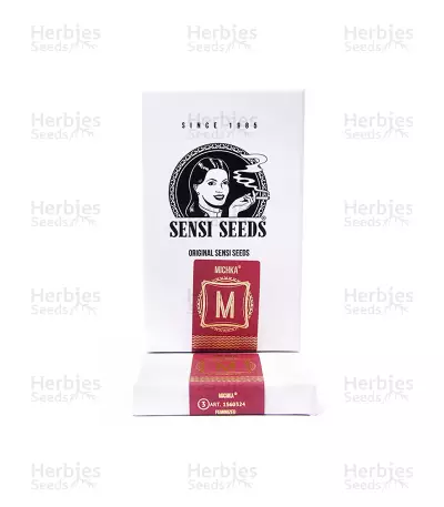 Michka feminized seeds