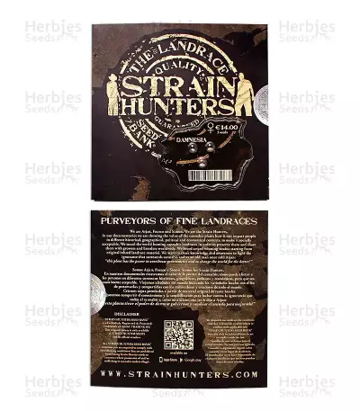 Graines de cannabis Damnesia (Strain Hunters)