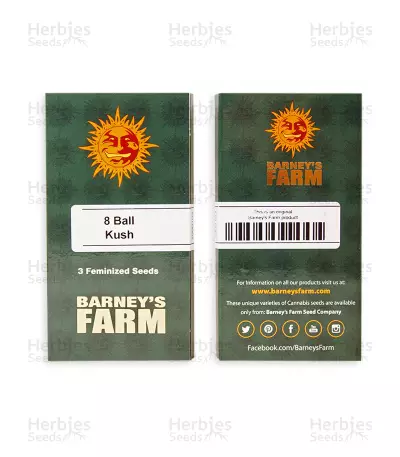 8 Ball Kush feminized seeds