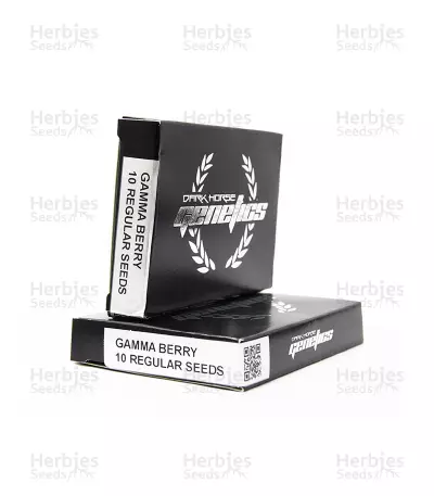 Buy Gamma Berry regular by Dark Horse Genetics
