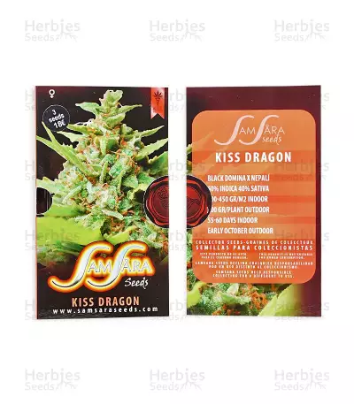 Kiss Dragon Seeds