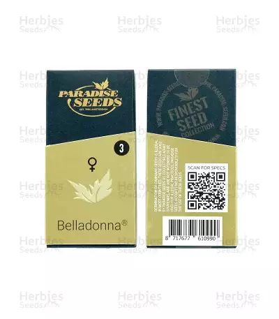 Belladonna feminized seeds