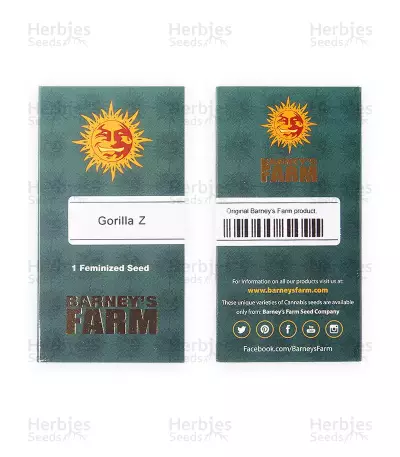 Gorilla Z Seeds