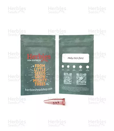 Moby Dick Seeds