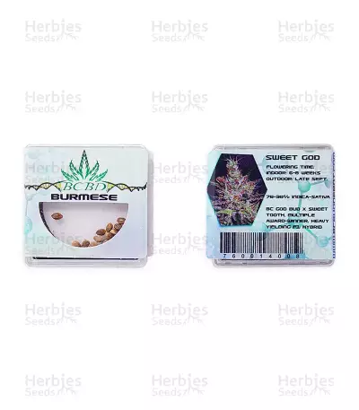 Graines de cannabis Sweet God regular (BC Bud Depot Seeds)