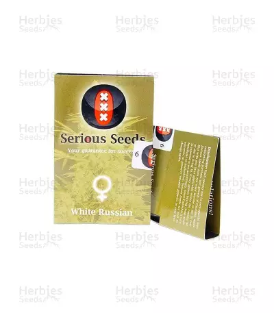 Semillas White Russian feminizadas (Serious Seeds)