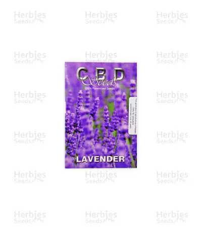 Lavender feminized seeds