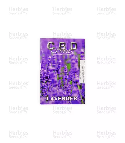 Lavender (CBD Seeds)