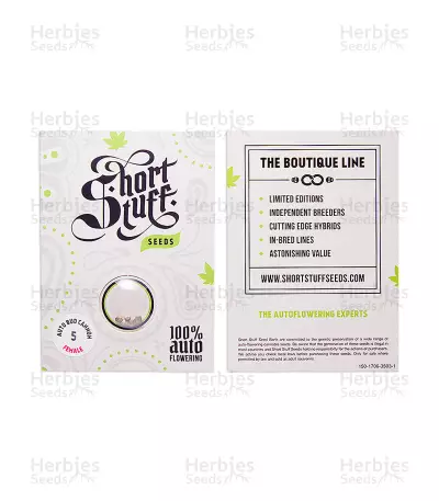 Graines de cannabis Auto Bud Cannon (Short Stuff Seeds)