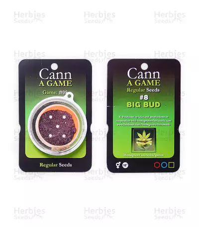 Big Bud regular (Homegrown Fantaseeds) Cannabis-Samen