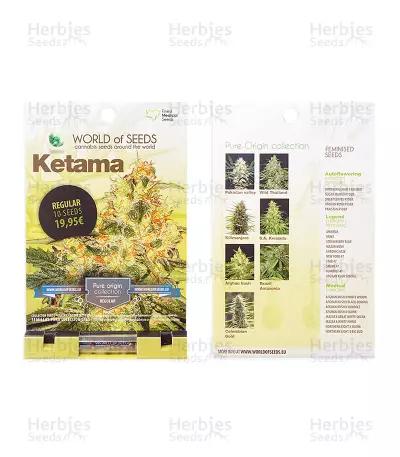 Ketama feminized seeds