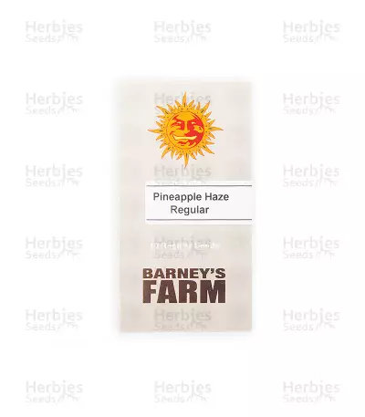 Pineapple Haze Seeds