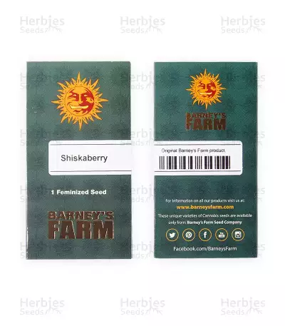 Shiskaberry Feminized Seeds (Barney’s Farm)