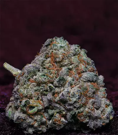 Fire OG Kush (Big Head Seeds)