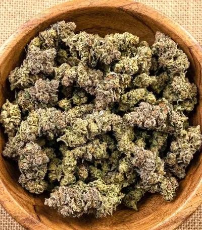 Orange Bud 2.0 Seeds