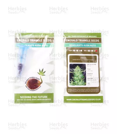 Graines de cannabis Headlights Kush Auto regular (Emerald Triangle Seeds)