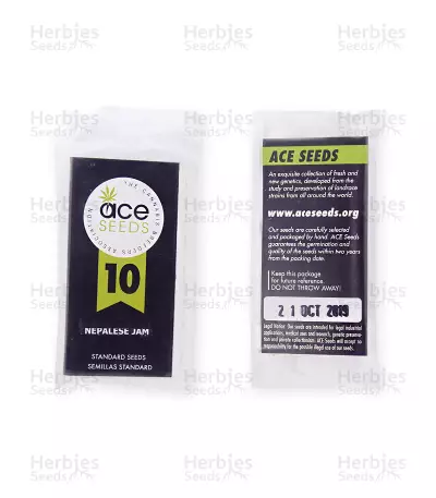 Nepal Jam regular (Ace Seeds)