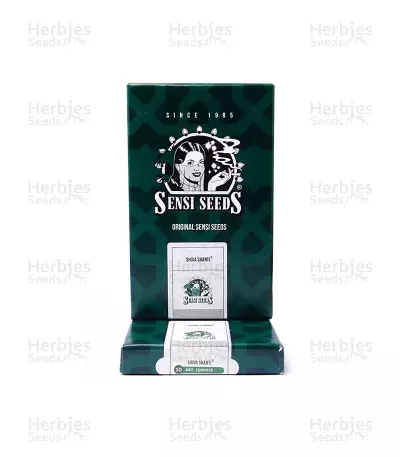 Shiva Shanti Regular seeds