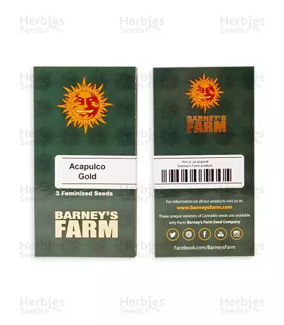 Acapulco Gold Seeds